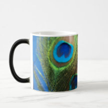 Blue Peacock Feathers Mugs