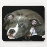 Blue Pitbull Puppy mousepad