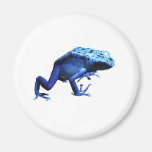 Blue Poison Dart Frog Magnet