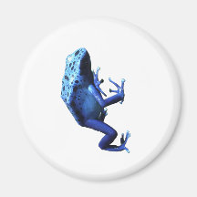 Blue Poison Dart Frog Magnets