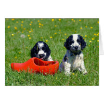 Blue Roan Cocker Spaniels Card