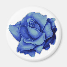 blue rose - magnet
