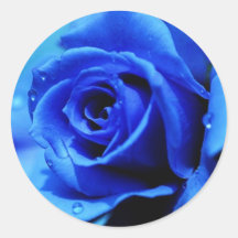 Blue rose sticker