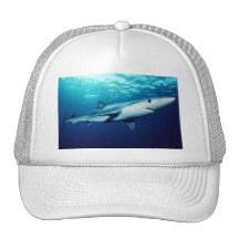 Blue Shark Mesh Hat