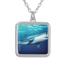 Blue Shark Necklaces