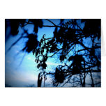 Blue Skies Greeting Card