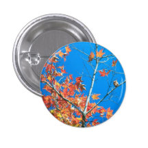 Blue Sky Autumn Tree Buttons