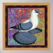 Blue Swallow Pigeon Framed Poster