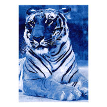 Blue Tiger Invitation