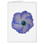 Blue tinted hibiscus flower greeting cards