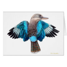 Blue Winged Kookaburra Card
