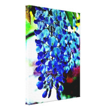 Blue Wisteria Stretched Canvas Prints