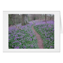bluebell path cards