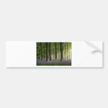 Bluebell Woodland Bumper Stickers
