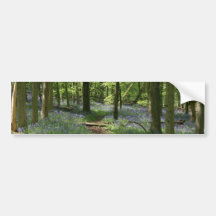 Bluebell woods bumper sticker