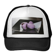 Blueberry cakes trucker hats