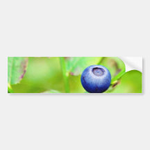Blueberry In The Forest Bumper Sticker