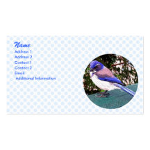Bluebird Business Cards