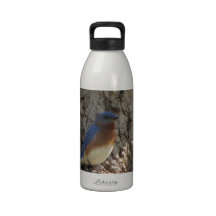 Bluebird items water bottle