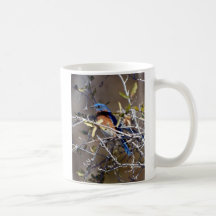 bluebird mugs