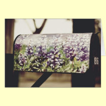 Bluebonnets greetings {you've got mail series} Cap cards