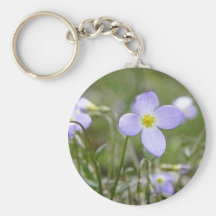 Bluets - Quaker Ladies Keychain