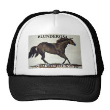 BLUNDEROSA, QUARTER HORSES HAT