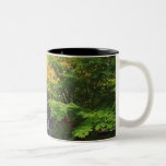 Blurred Rock Waterfall, Maple Green & Orange Trees Mugs