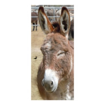 Blushing Burro - Kids Bookmarks School Supplies Personalized Rack Card