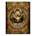 Boar Hairs Postcard