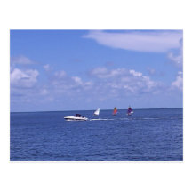 Boats - Anna Maria, Florida Post Card