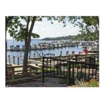 Boats Docked Postcard