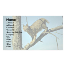 Bobcat Business Card