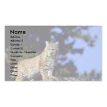 Bobcat Business Card Template