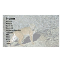Bobcat Business Card Templates