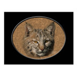 Bobcat Postcard 2