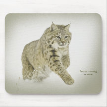 Bobcat running in snow mousepad