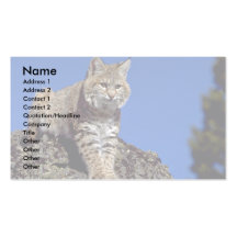 Bobcat skylined business cards