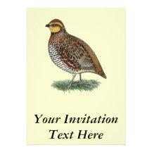 Bobwhite Quail Hen Invite
