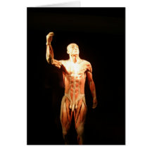 Bodies Exhibition Greeting Cards
