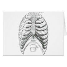 BODYPARTS GREETING CARD
