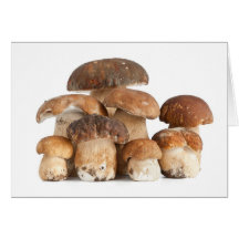 Boletus Edulis Greeting Cards