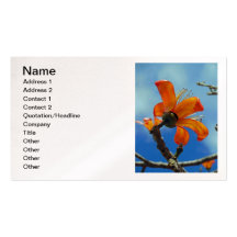 Bombax Ceiba Business Card