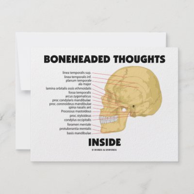 inside skull anatomy