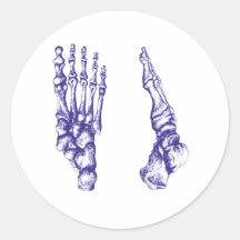 Bones of the feet - blue sticker