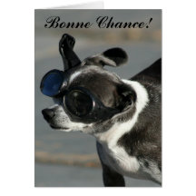 Bonne chance Good luck chihuahua gtreeting card