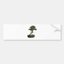 Bonsai Bumper Stickers