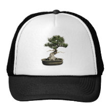 Bonsai Hat