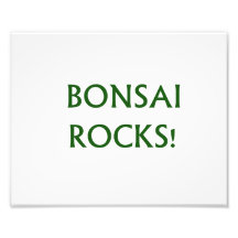 Bonsai Rocks Slogan saying done in Green Text Art Photo