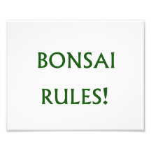 Bonsai Rules Green Text Photo